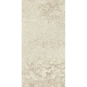 Oxide 30x60 Beige Rust Matt R10
